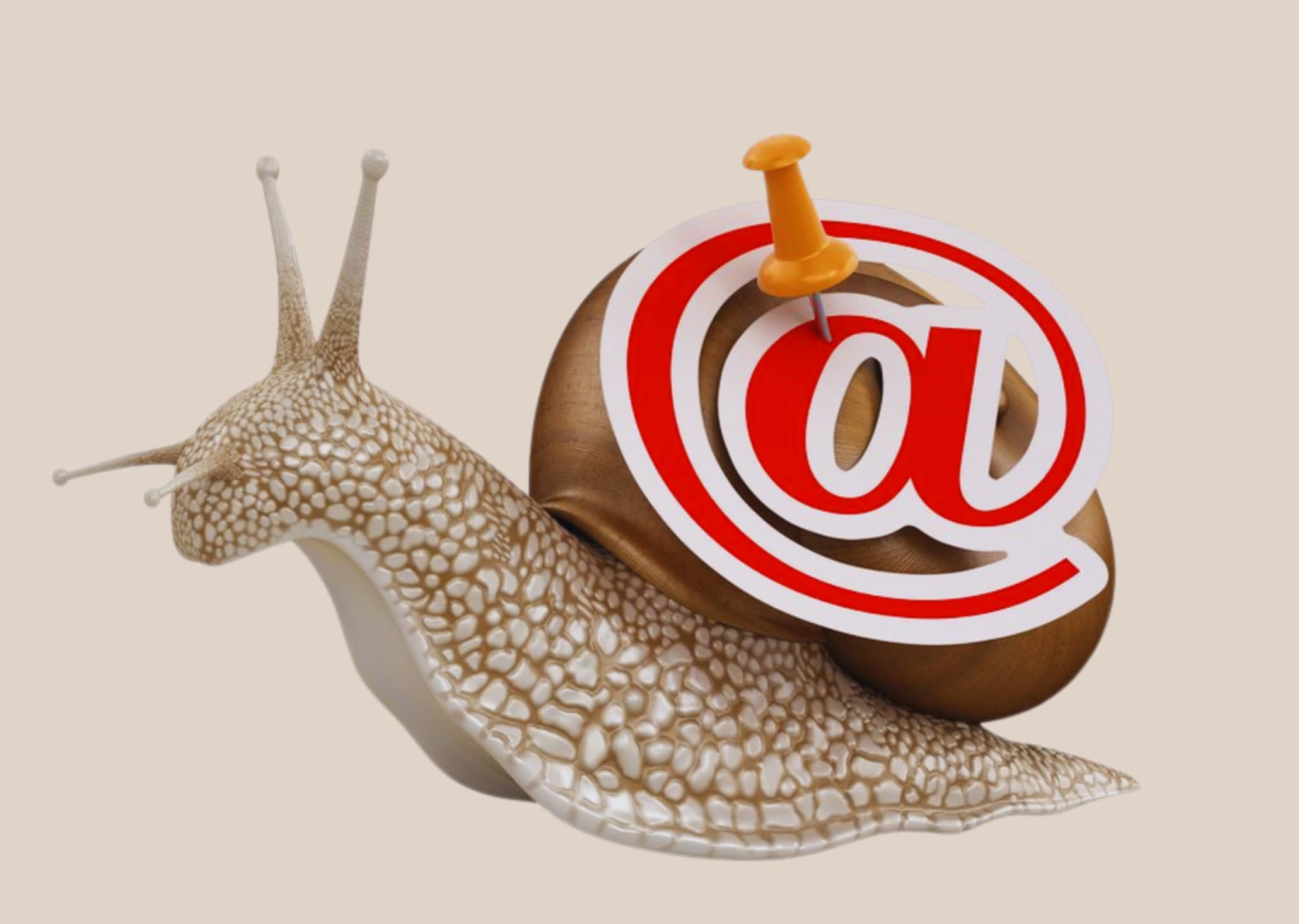 Snail Mail Business Plan